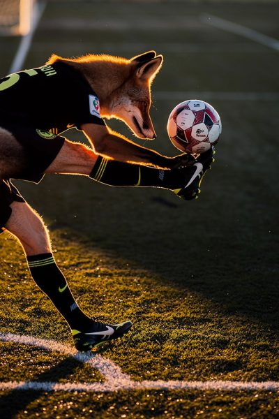 Image à la une illustrant un exercice de football